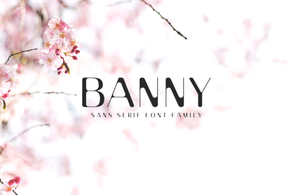 Banny Sans Serif Family for Vintage-Inspired Design