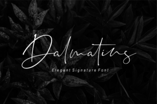 Dalmatins: The Modern Script Font for Dynamic Branding and Digital Design