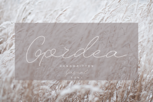Gordea: A Script Font for Modern Branding and Creative Design
