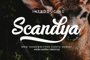 Scandya Script: A Handwritten Font for Authentic Web Design