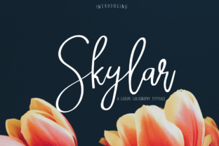 Skylar: A Script Handwritten Font for Creative Branding