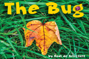 The Bug: A Blackletter Font for Bold Editorial Statements